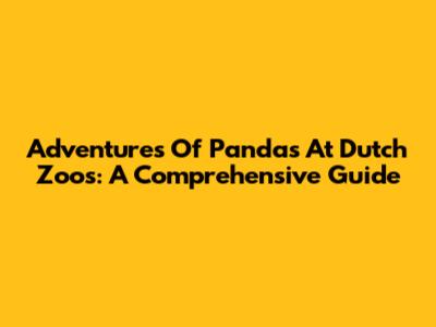 Adventures Of Pandas At Dutch Zoos: A Comprehensive Guide