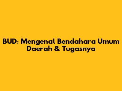 BUD: Mengenal Bendahara Umum Daerah & Tugasnya