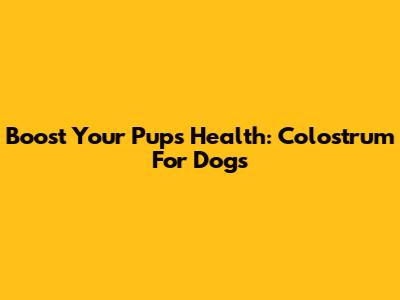 Boost Your Pup's Health: Colostrum For Dogs