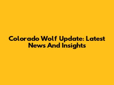 Colorado Wolf Update: Latest News And Insights