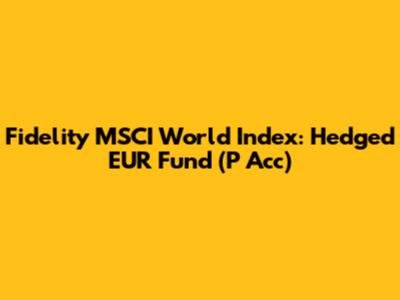 Fidelity MSCI World Index: Hedged EUR Fund (P Acc)