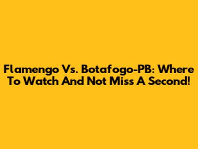 Flamengo Vs. Botafogo-PB: Where To Watch And Not Miss A Second!