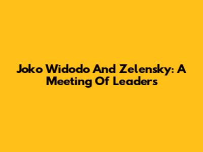 Joko Widodo And Zelensky: A Meeting Of Leaders