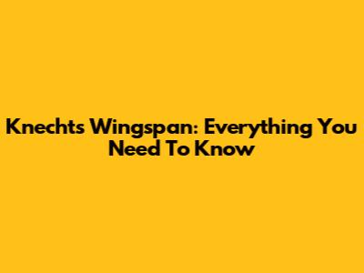 Knecht's Wingspan: Everything You Need To Know