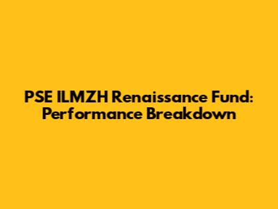 PSE ILMZH Renaissance Fund: Performance Breakdown