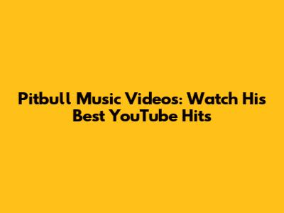 Pitbull Music Videos: Watch His Best YouTube Hits